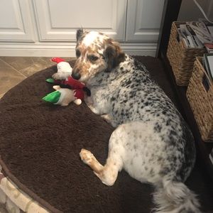 Meet your Posher, Jill